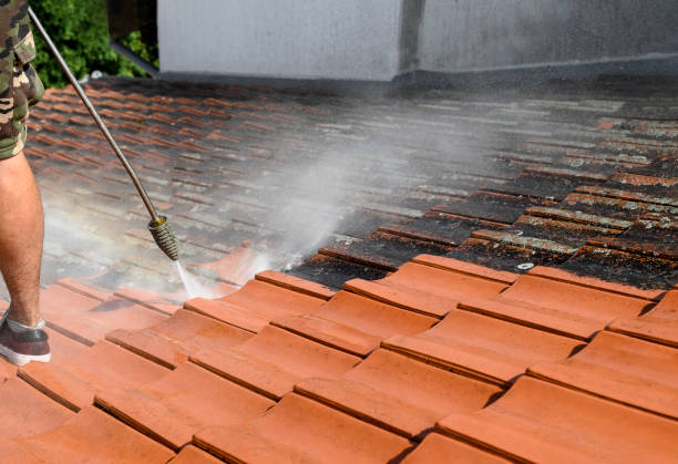 Best Roof Power Washing Services  in Arbury Hls, IL