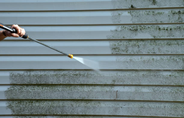 Fence Pressure Washing in Arbury Hills, IL