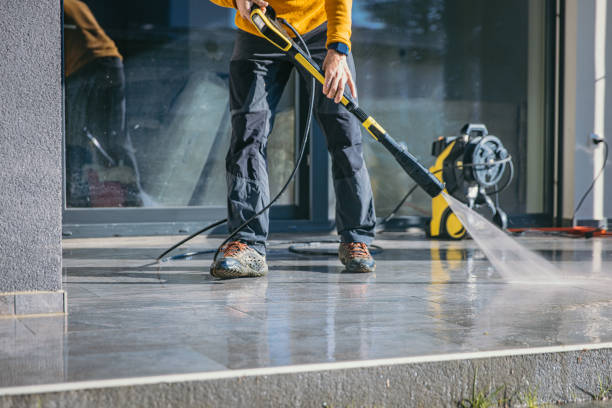 Best Roof Pressure Washing  in Arbury Hls, IL