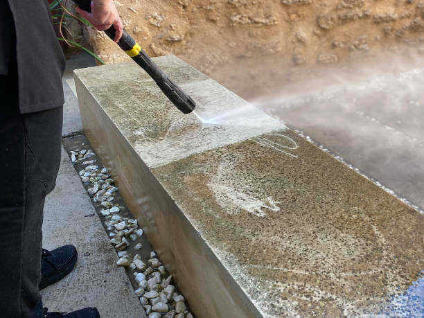 Best Concrete Pressure Washing  in Arbury Hls, IL