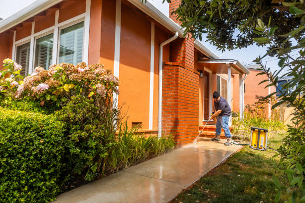 Best Deck Pressure Washing  in Arbury Hls, IL