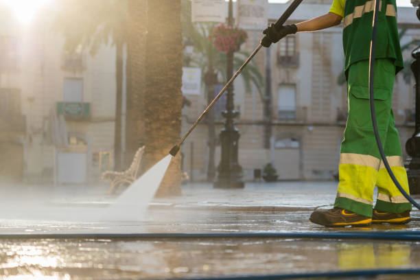 Best Deck Cleaning Services  in Arbury Hls, IL