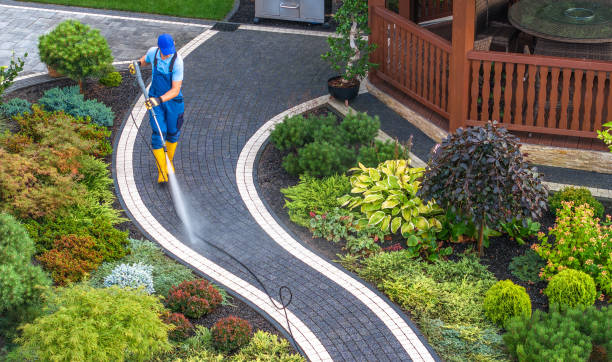 Best Commercial Pressure Washing  in Arbury Hls, IL